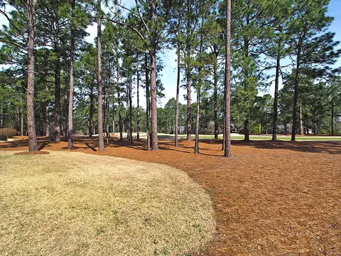 30 Lasswade Dr, Pinehurst, NC 28374 photo 44
