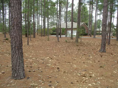 24 Abbottsford Dr, Pinehurst, NC 28374 photo 4