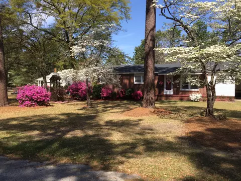 306 Palm St, Hamlet, NC 28345 photo 38