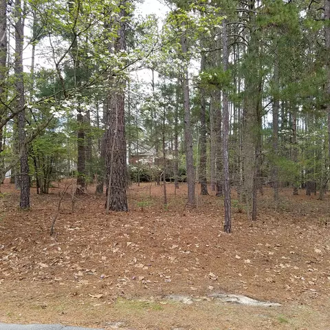95 Gingham Ln, Pinehurst, NC 28374 photo 1