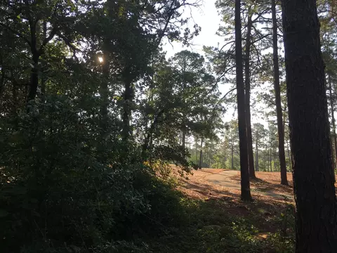 15 Brookhaven Rd, Pinehurst, NC 28374 photo 1