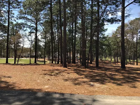 14 Fortrose Cir, Pinehurst, NC 28374 photo 1