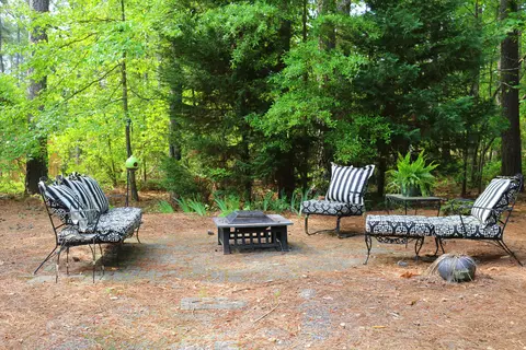 875 Burning Tree Road Rd, Pinehurst, NC 28374 photo 30