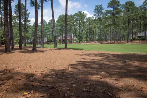 36 Pomeroy Dr, Pinehurst, NC 28374 photo 53