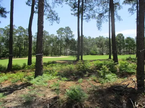 14 Glenbarr Ct, Pinehurst, NC 28374 photo 4