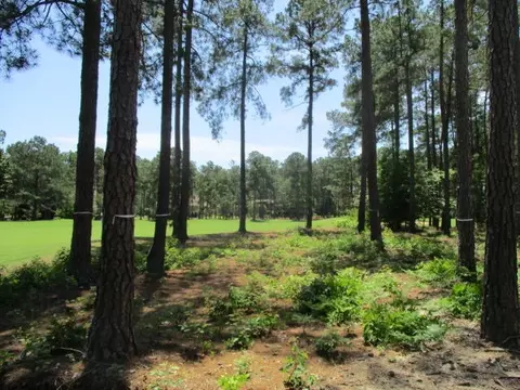14 Glenbarr Ct, Pinehurst, NC 28374 photo 6