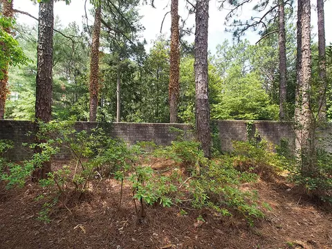 143 Deuce Dr, Pinehurst, NC 28374 photo 21