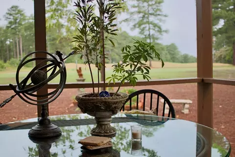 71 S Shamrock Dr, Foxfire, NC 27281 photo 48