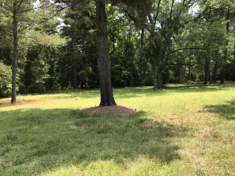 809 Currant St, Pinebluff, NC 28373 photo 5