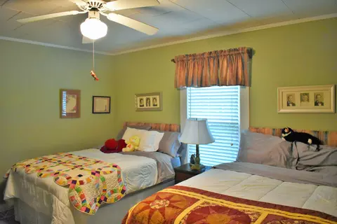685 Wire Grass Rd, Hamlet, NC 28345 photo 29