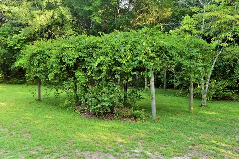 685 Wire Grass Rd, Hamlet, NC 28345 photo 53