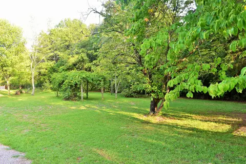 685 Wire Grass Rd, Hamlet, NC 28345 photo 54