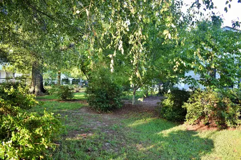 685 Wire Grass Rd, Hamlet, NC 28345 photo 49