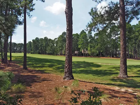 35 Glasgow Dr, Pinehurst, NC 28374 photo 23