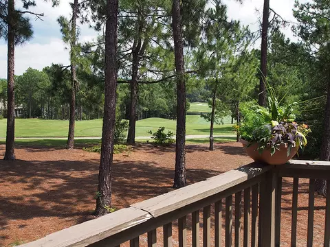 60 Pinewild Dr, Pinehurst, NC 28374 photo 29