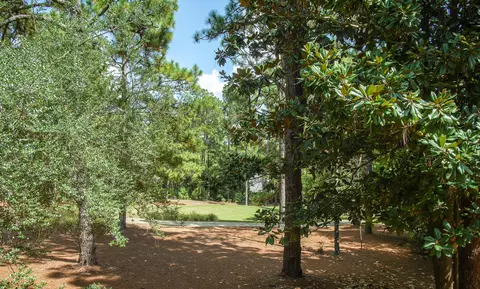 42 Pinewild Dr, Pinehurst, NC 28374 photo 24
