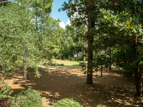 42 Pinewild Dr, Pinehurst, NC 28374 photo 25