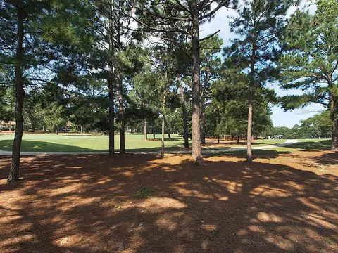 55 Canter Ln, Pinehurst, NC 28374 photo 25