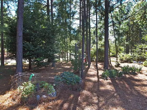 2 Princeville Ln, Pinehurst, NC 28374 photo 30