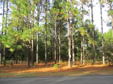 393 Longleaf Dr, West End, NC 27376 photo 3