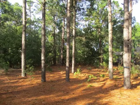 393 Longleaf Dr, West End, NC 27376 photo 5