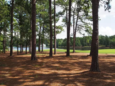 5 James River Pl, Pinehurst, NC 28374 photo 35