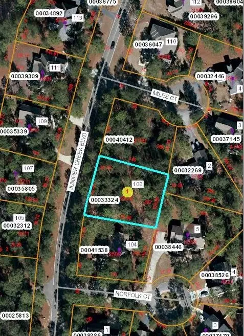 106 Juniper Creek Blvd, Pinehurst, NC 28374 photo 60