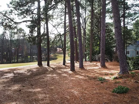 28 Thunderbird Cir, Pinehurst, NC 28374 photo 25