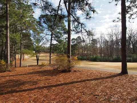 28 Thunderbird Cir, Pinehurst, NC 28374 photo 26