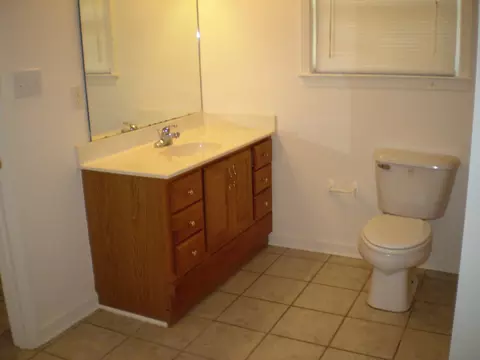 127 Vine Dr, Hamlet, NC 28345 photo 5