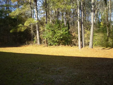 127 Vine Dr, Hamlet, NC 28345 photo 13