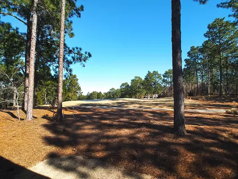 4 Peachtree Ln, Pinehurst, NC 28374 photo 34