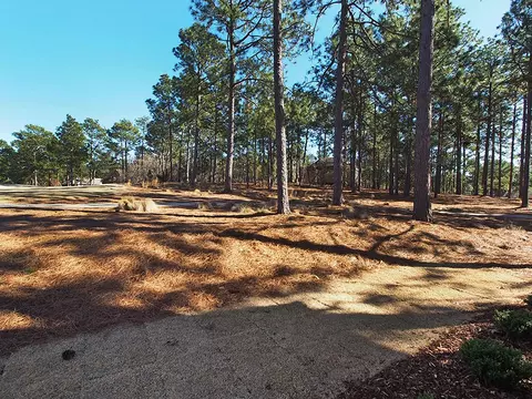 4 Peachtree Ln, Pinehurst, NC 28374 photo 33