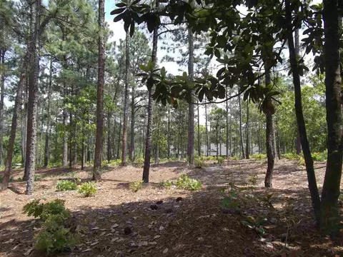 55 Stoneykirk Dr, Pinehurst, NC 28374 photo 3