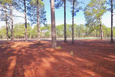 140 Bel Air Dr, Pinehurst, NC 28374 photo 44