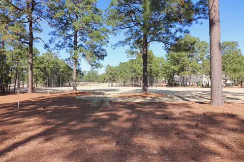 24 Royal County Down, Pinehurst, NC 28374 photo 54