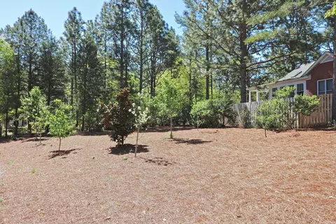 4 Starlit Ct, Pinehurst, NC 28374 photo 42