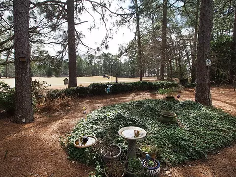 130 Thunderbird Ln, Pinehurst, NC 28374 photo 34