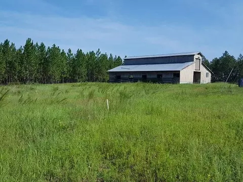 315 Derby Rd, Hoffman, NC 28347 photo 12