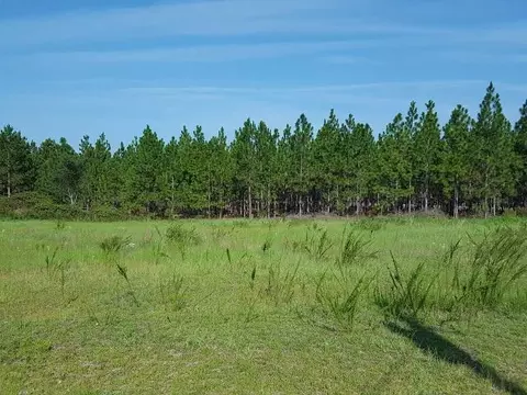 315 Derby Rd, Hoffman, NC 28347 photo 25