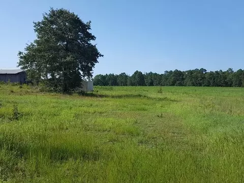 315 Derby Rd, Hoffman, NC 28347 photo 24