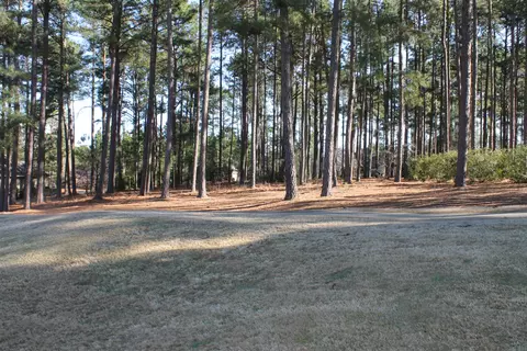 78 Pomeroy Dr, Pinehurst, NC 28374 photo 3