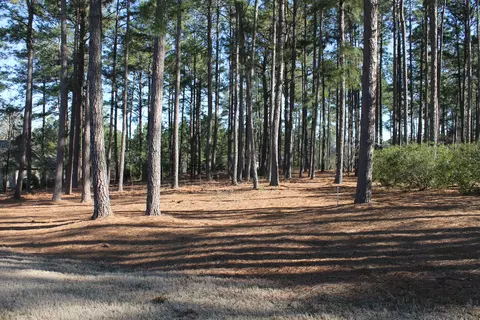 78 Pomeroy Dr, Pinehurst, NC 28374 photo 4