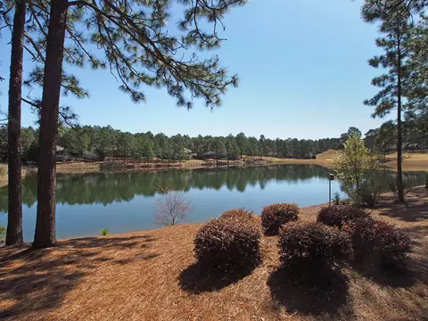 2 Shenecossett Ln, Pinehurst, NC 28374 photo 57