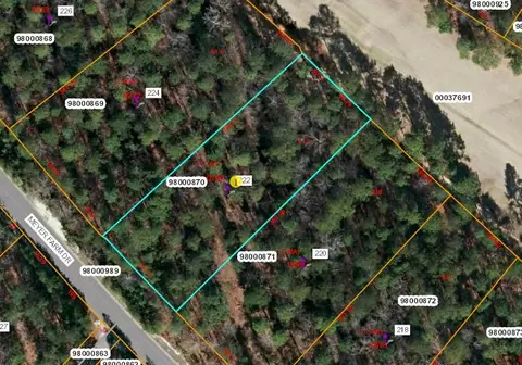 222 Meyer Farm Dr, Pinehurst, NC 28374 photo 1