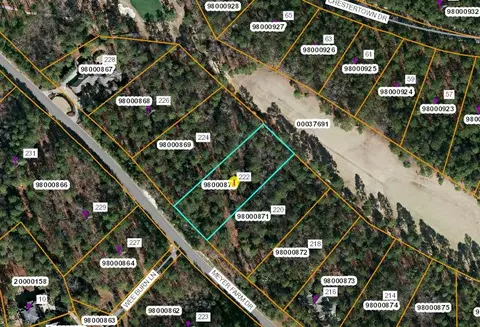 222 Meyer Farm Dr, Pinehurst, NC 28374 photo 4