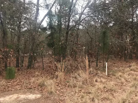 159 Juniper Creek Blvd, Pinehurst, NC 28374 photo 3