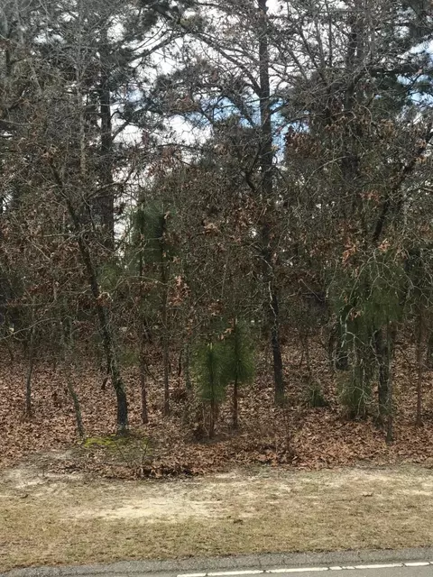 161 Juniper Creek Blvd, Pinehurst, NC 28374 photo 4
