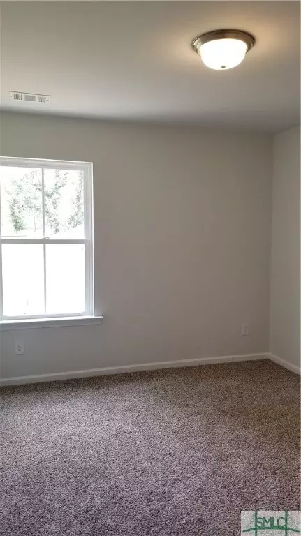 223 Crape Myrtle Ct, Springfield, GA 31329 photo 19