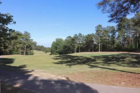 125 W Devonshire Ave, West End, NC 27376 photo 9